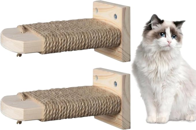 Kattenklimtreden - Kattenkooi accessoires - Katten verrijking - Antislip constructie - Set van 2 - Houtkleur