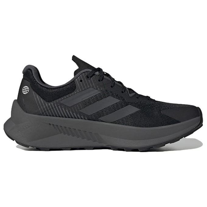 Hardloopschoenen adidas Terrex Soulstride Flow