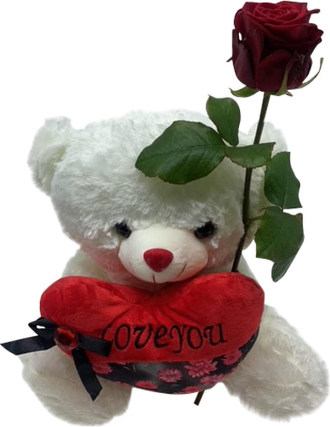 Knuffelbeer Love You (40 cm) + Rode roos