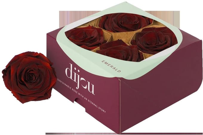 4x Dc pres.rozen dark amber