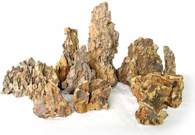 Wabi Kusa Dragon Rock