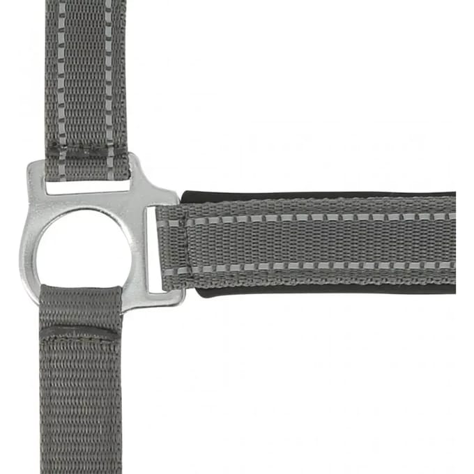 Halster voor paarden Norton Reflective