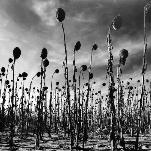 Anastasis - Dead Can Dance