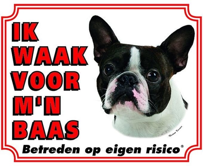 Boston Terrier Waakbord - Ik waak voor mijn baas