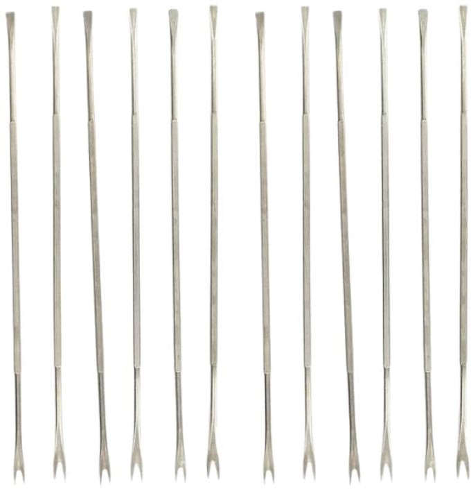 Set van 12 schaaldiervorkjes van roestvrij staal 18,5 cm Fackelmann