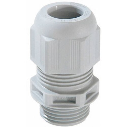 Wiska 10064629 Wartel M25 Polyamide Grijs-wit (RAL 7035) 50 stuk(s)