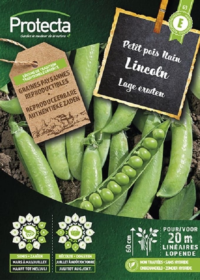 Protecta Groente zaden: Lage erwten LINCOLN
