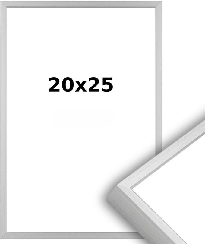 Aluminium Wissellijst 20 x 25 Matzilver - Ontspiegeld Glas - Professional