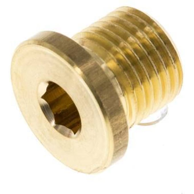 G 1/4'' Messing Plug met Binnenzeskant 16 Bar [10 Stuks]