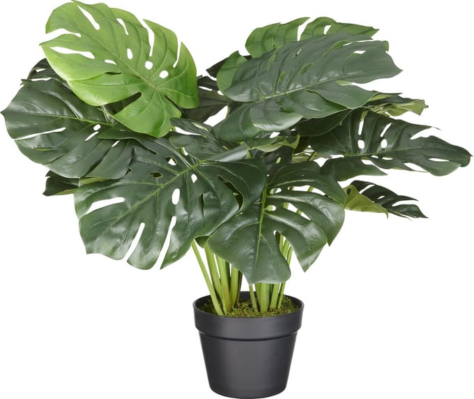 Kunstplant Monstera H60cm - HTT Decorations kunstplanten