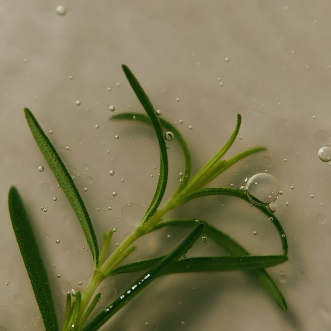 Aromatica - Rosemary Scalp Scaling Shampoo - Vegan - 180ml