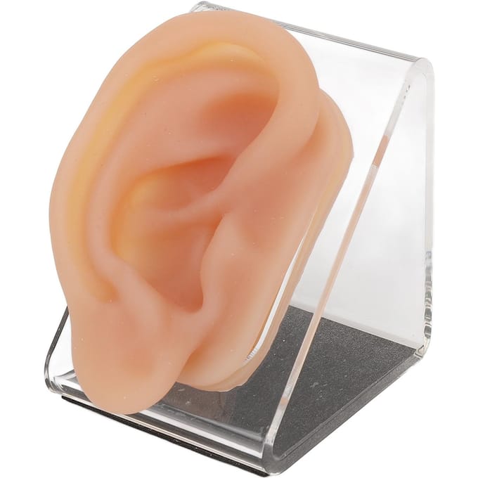 Modèle d'oreille en silicone Modèle d'oreille simulée Outil de pratique d'acupuncture avec support d'exposition pour présentation de piercing beige