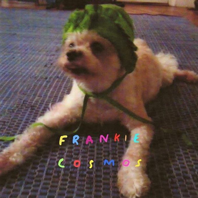 Zentropy - Frankie Cosmos