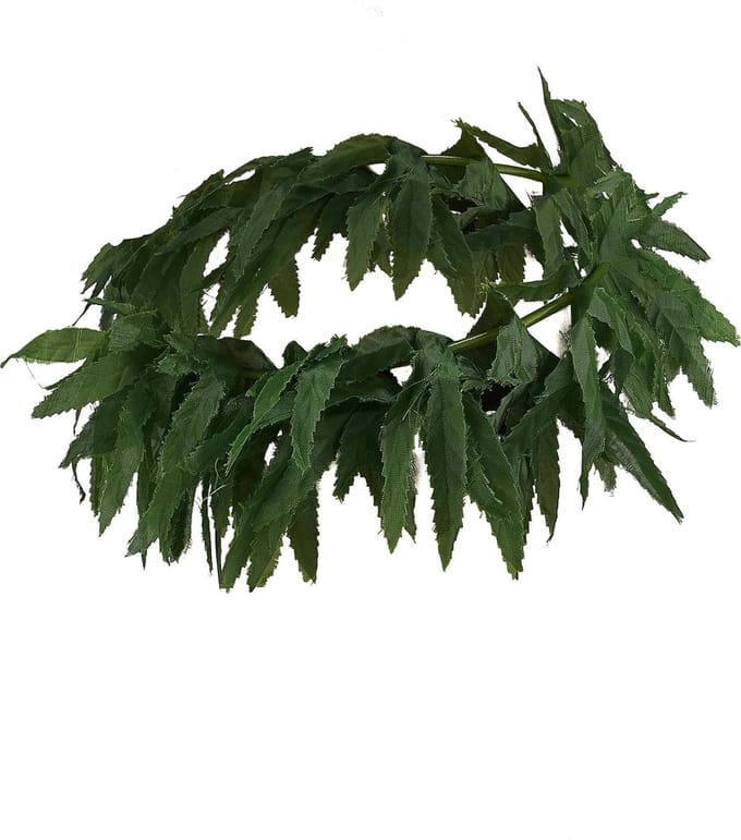 Vegaoo - Hawaiiaanse haarband met tropische blaadjes