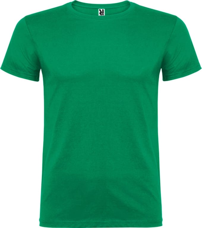 Kelly Groen 5 pack t-shirts Roly Beagle maat S
