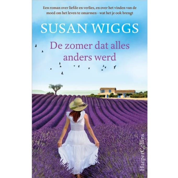 De Zomer Dat Alles Anders Werd - Susan Wiggs