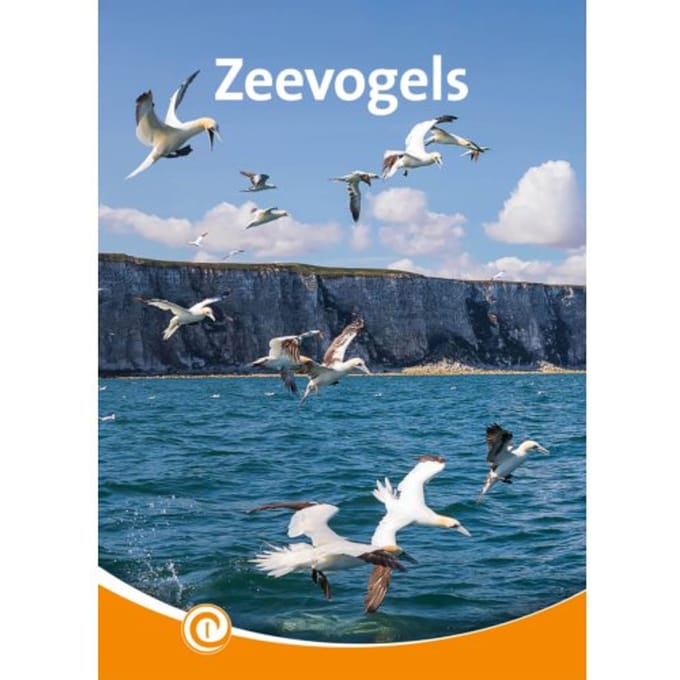 Zeevogels - Informatie - Zeger van Mersbergen