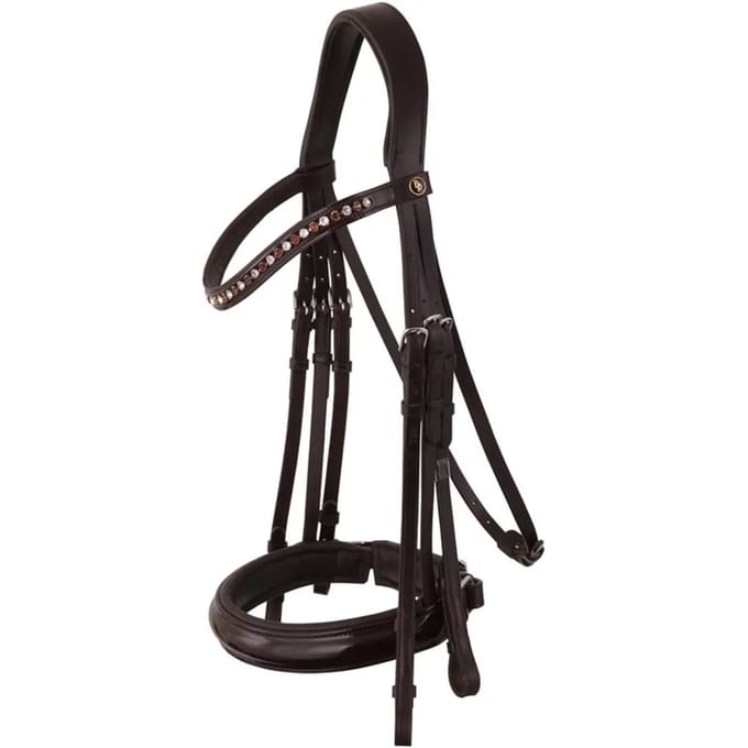 Anatomische hoofdstellen BR Equitation Wendover