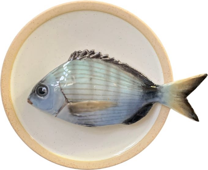 Sarago medio op crème kleur bord met lichte rand, 15cm rond