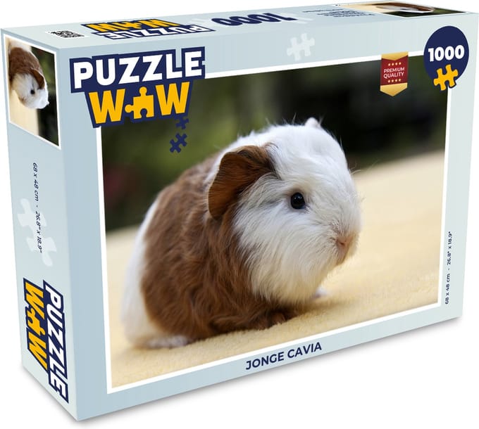 Puzzel Jonge cavia - Legpuzzel - Puzzel 1000 stukjes volwassenen