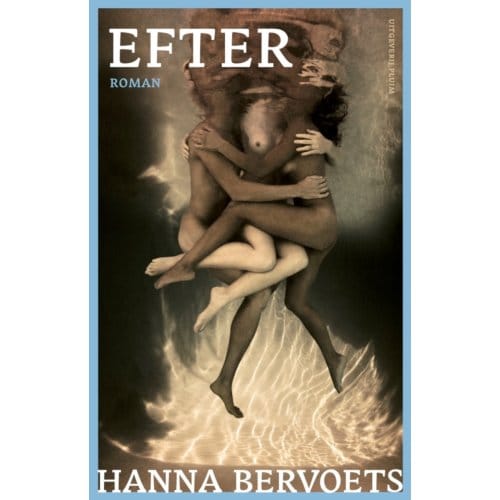 Efter - Hanna Bervoets