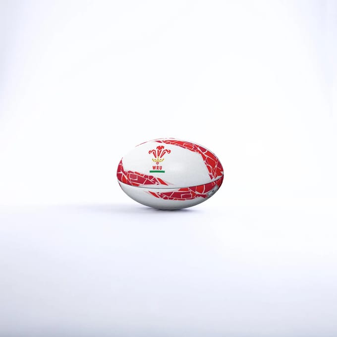 Rugbbal Pays de Galles Supporter