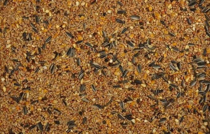 Wielink Strooivoer 20KG