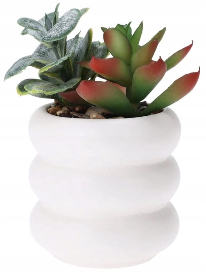 Koopman - Sierplant - In Cementpot - 14 cm - Realistisch Uiterlijk