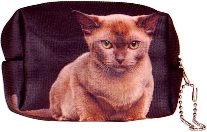 Kleine etui/klein toilettasje Poes