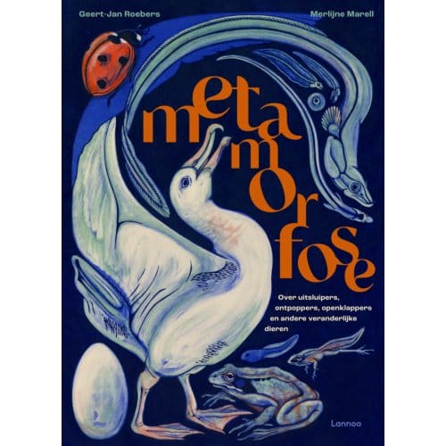 Metamorfose - Geert-Jan Roebers