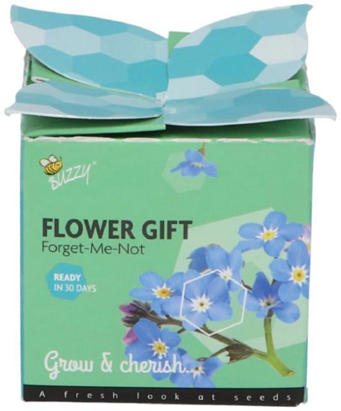 Buzzy - Grow gifts kweekset flower gift vergeet-me-niet