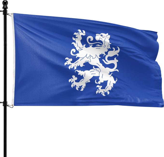 VlagDirect - Heemskerk vlag - Gemeente Heemskerk vlag - 90 x 150 cm.
