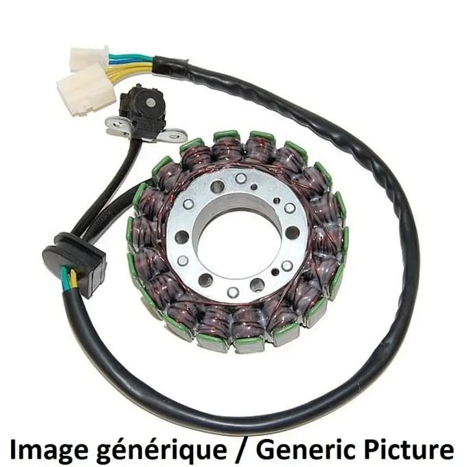 Allumage moto stator Electrosport Suzuki Gsx650F