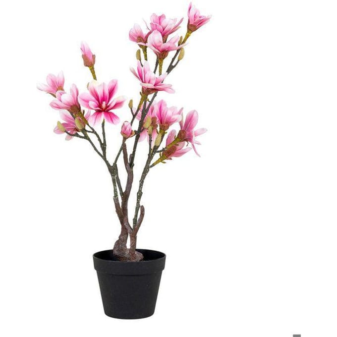House Nordic Kunstplant Magnolia Tree 75cm