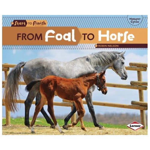 From Foal To Horse - Robin Nelson