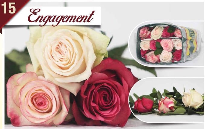 24x Rosa mix/bos hoja verde triett engagement 50cm