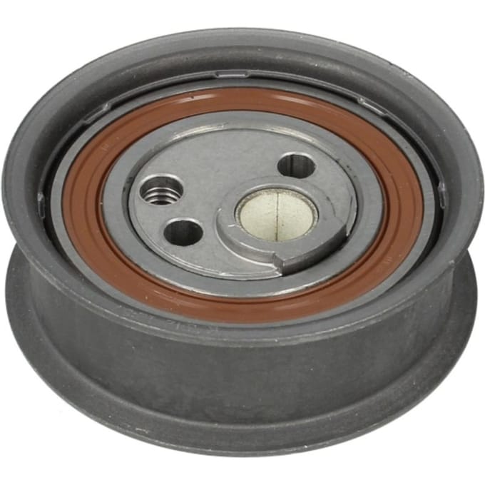 Tandriempoelie SKF VKM 11003