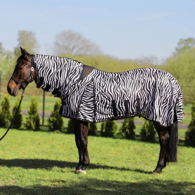 Zebra Staldeken met Halsbescherming voor Paard York