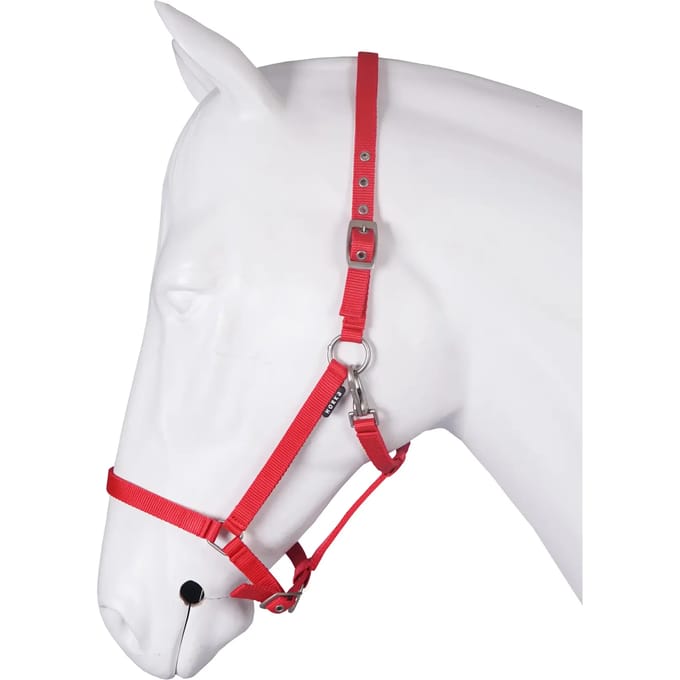 Halsband voor paard basis HORKA
