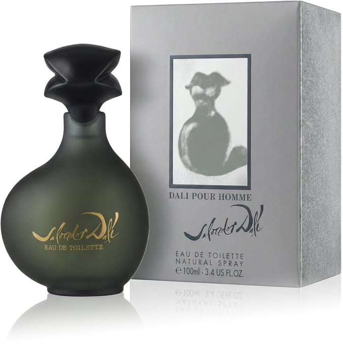 Salvador Dali Salvador Dali eau de toilette spray 100 ml