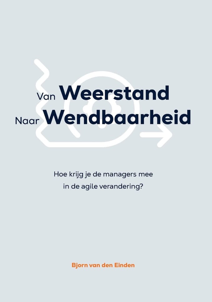 Van Weerstand Naar Wendbaarheid - Bjorn van den Einden