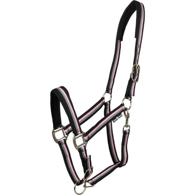 Halster voor paarden HorseGuard Striped
