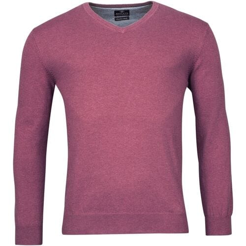 Baileys Trui V-Neck Cotton Single Knit Grape Melange / male