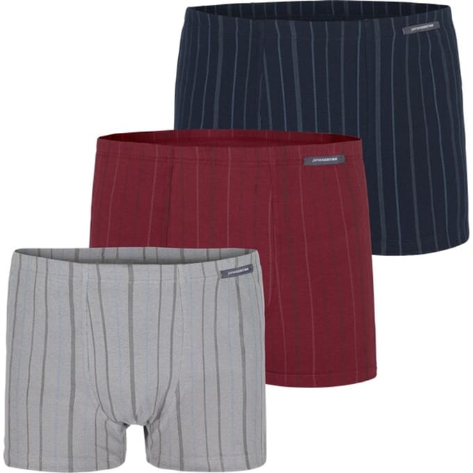 Set van 3 retroslips LEONELL blauw donkerblauw donkerrood grijs lichtgrijs rood