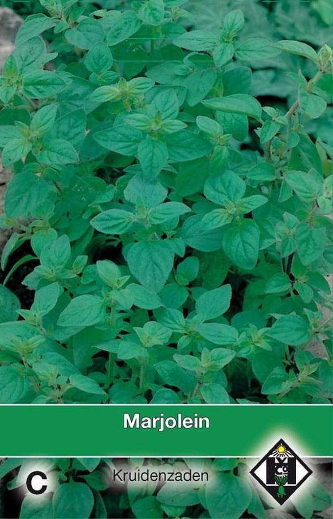 Van Hemert Zaden - Marjolein (Origanum majorana)