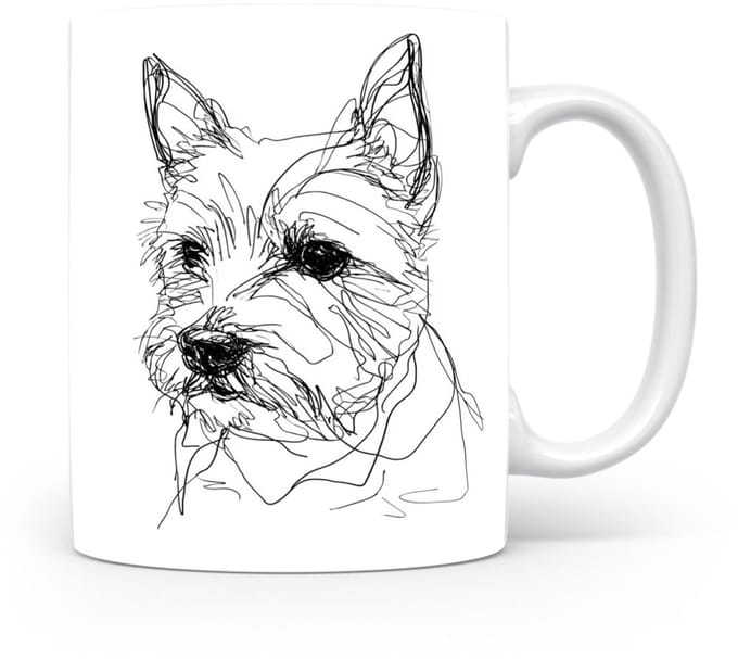 Beker Norwich Terrier