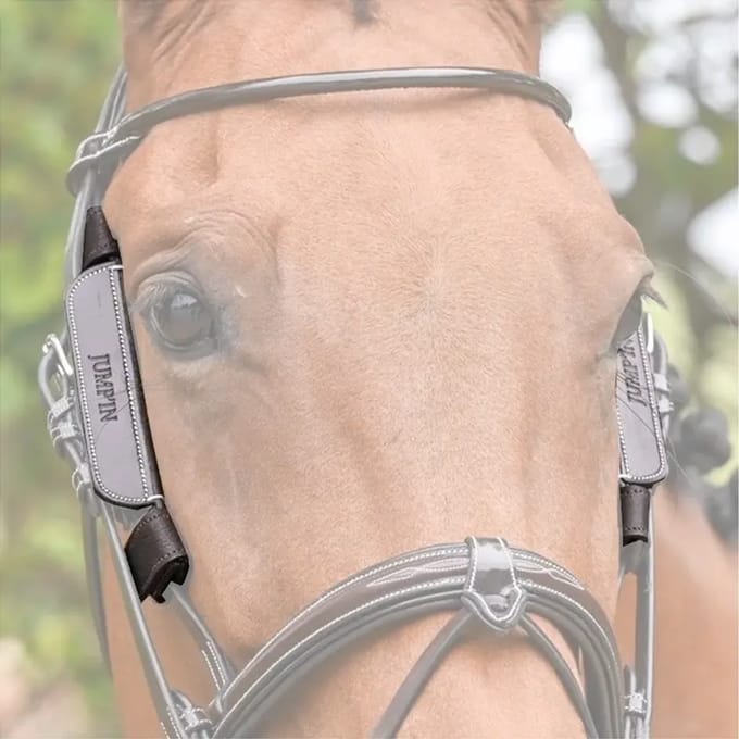 Oogkleppen voor paard van verwijderbaar leer Jump'In Week