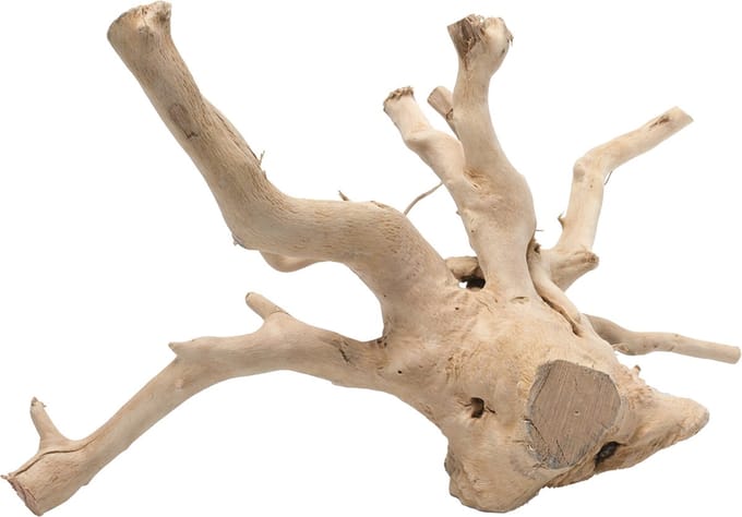 Aqua della driftwood gepolijst m - 30-43cm bruin