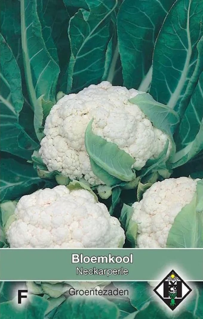 Van Hemert - Bloemkool Neckarperle 100 zaden