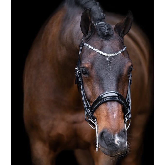 Hoofdstellen Imperial Riding Olympia